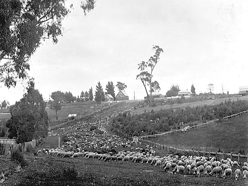 Snapshot of the past post image