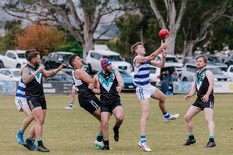 McGarrity the man as Cats cruise post image