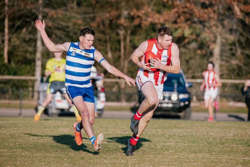 Cats hold off Bloods post image