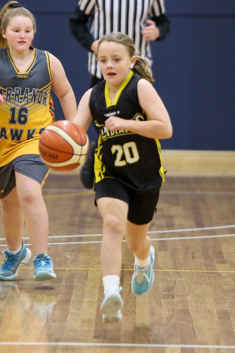 Basketball - U10 Girls - Gladiators Blaze v Warranor Finches - June 26, 2025 post image