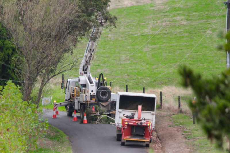 Gazette Pics Apr 8 post image