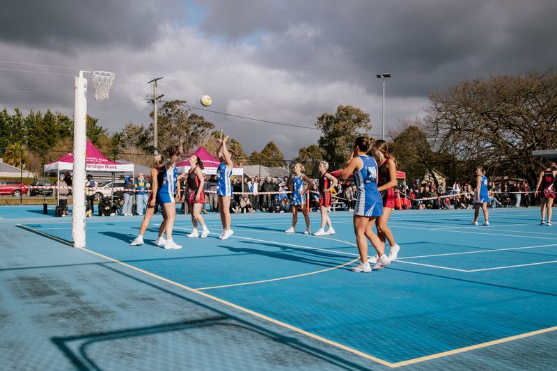 Cats remain undefeated post image