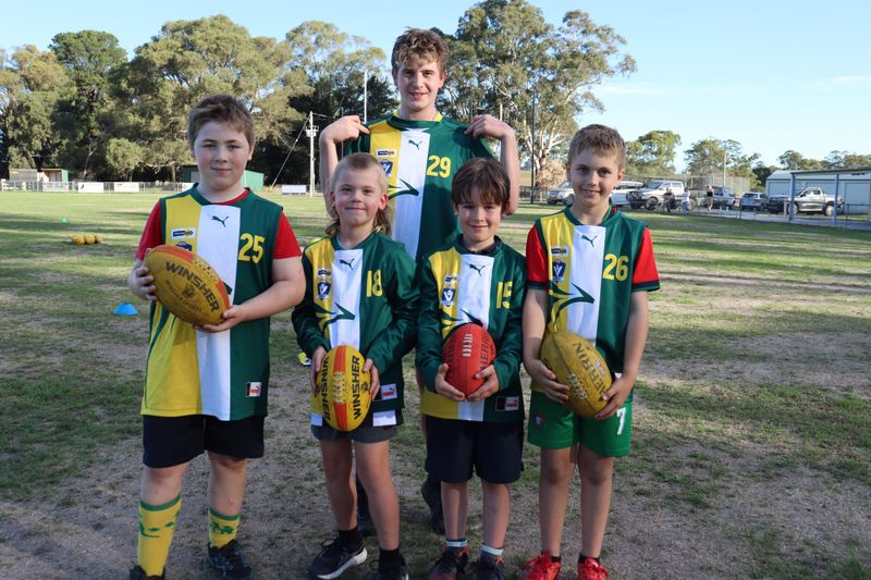 Keep our junior footy club alive post image