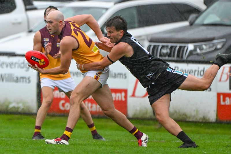 Hawks blown away post image