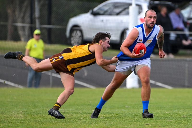 Blues off and running post image