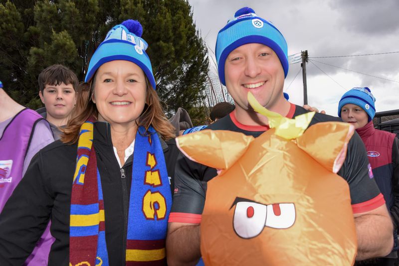 Gulls join Lions’ Big Freeze post image