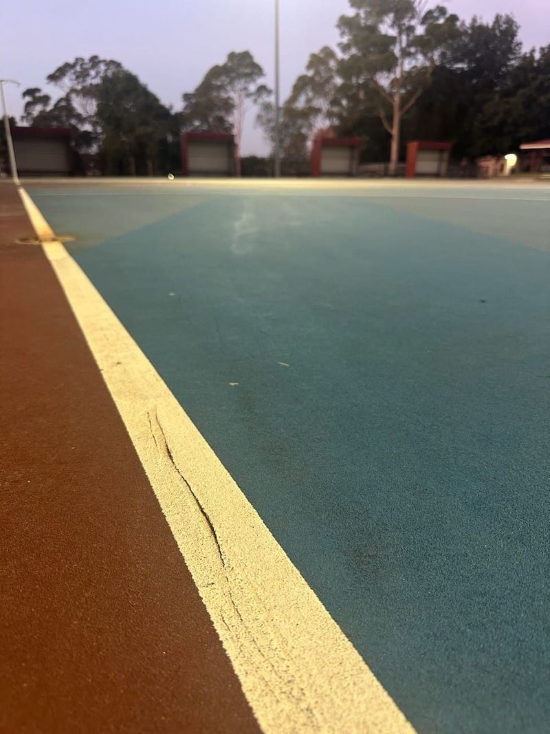 Call for netball upgrade post image