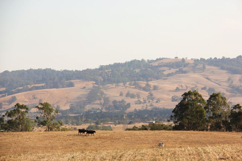 Dry days post image