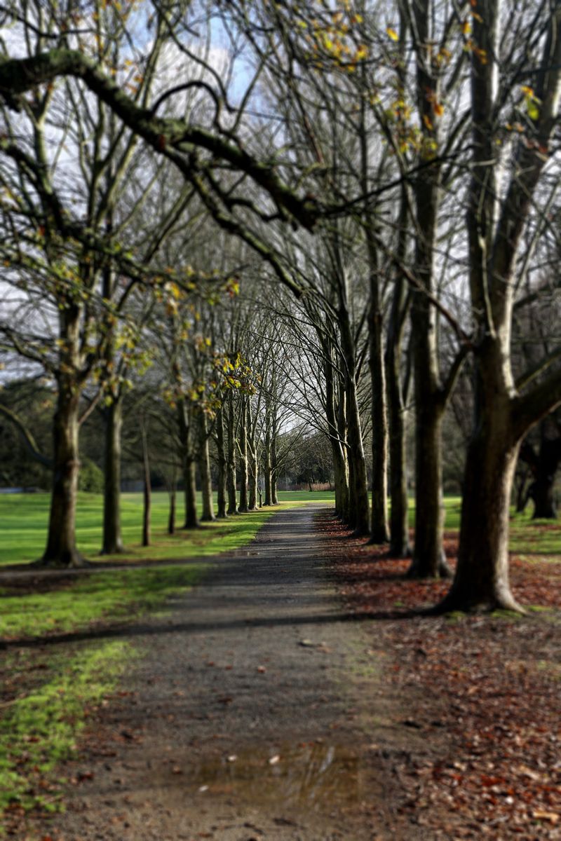 Walkable open spaces a priority post image