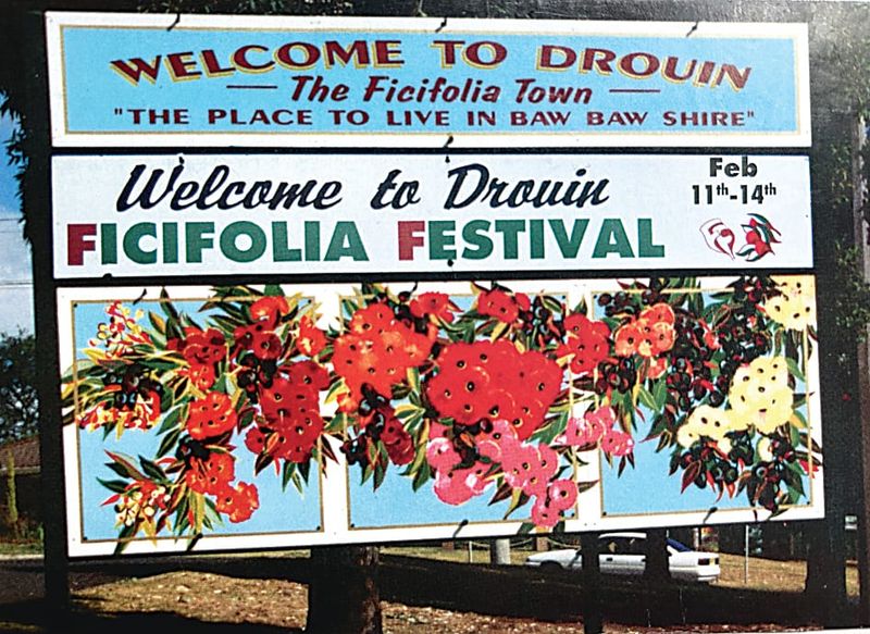 Snapshot of the past - Ficifolia Festival post image