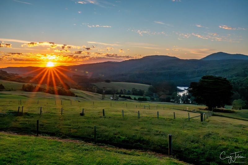 A touch of green but still dry post image