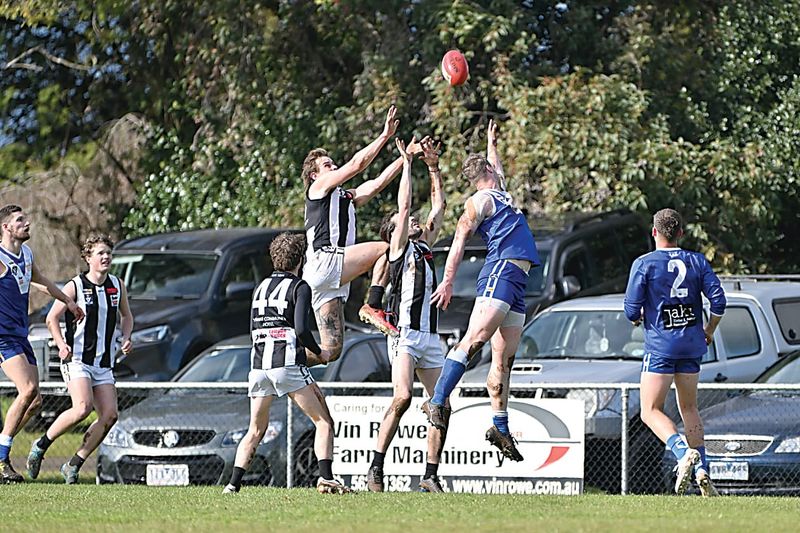 Premiership race down to four post image