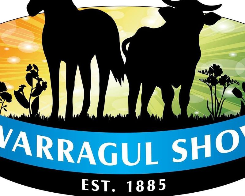 Dog high jump returns post image