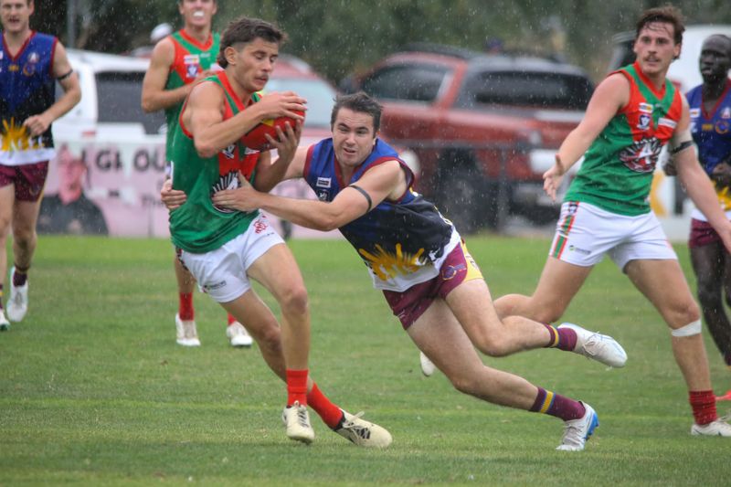 Dusties downed as Seagulls soar post image