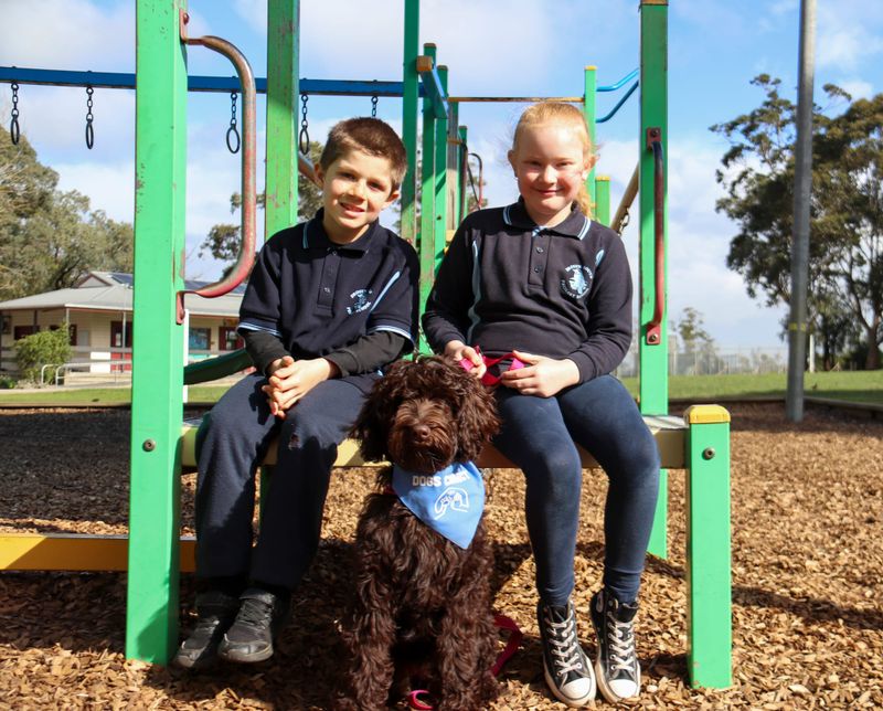 Bonnie the Dog at Drouin South Primary School post image