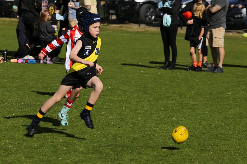 WDJFL Under 8s Carnival - July 20, 2025 post image