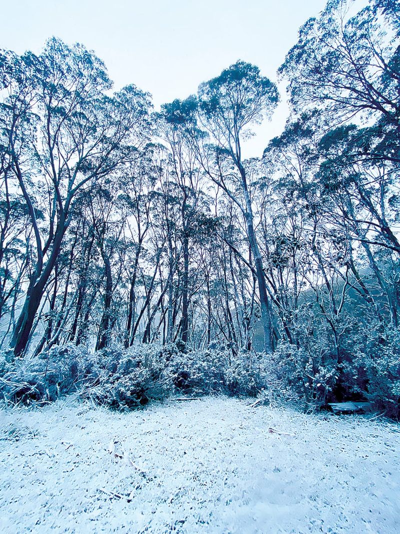 Snowfall for season opening post image