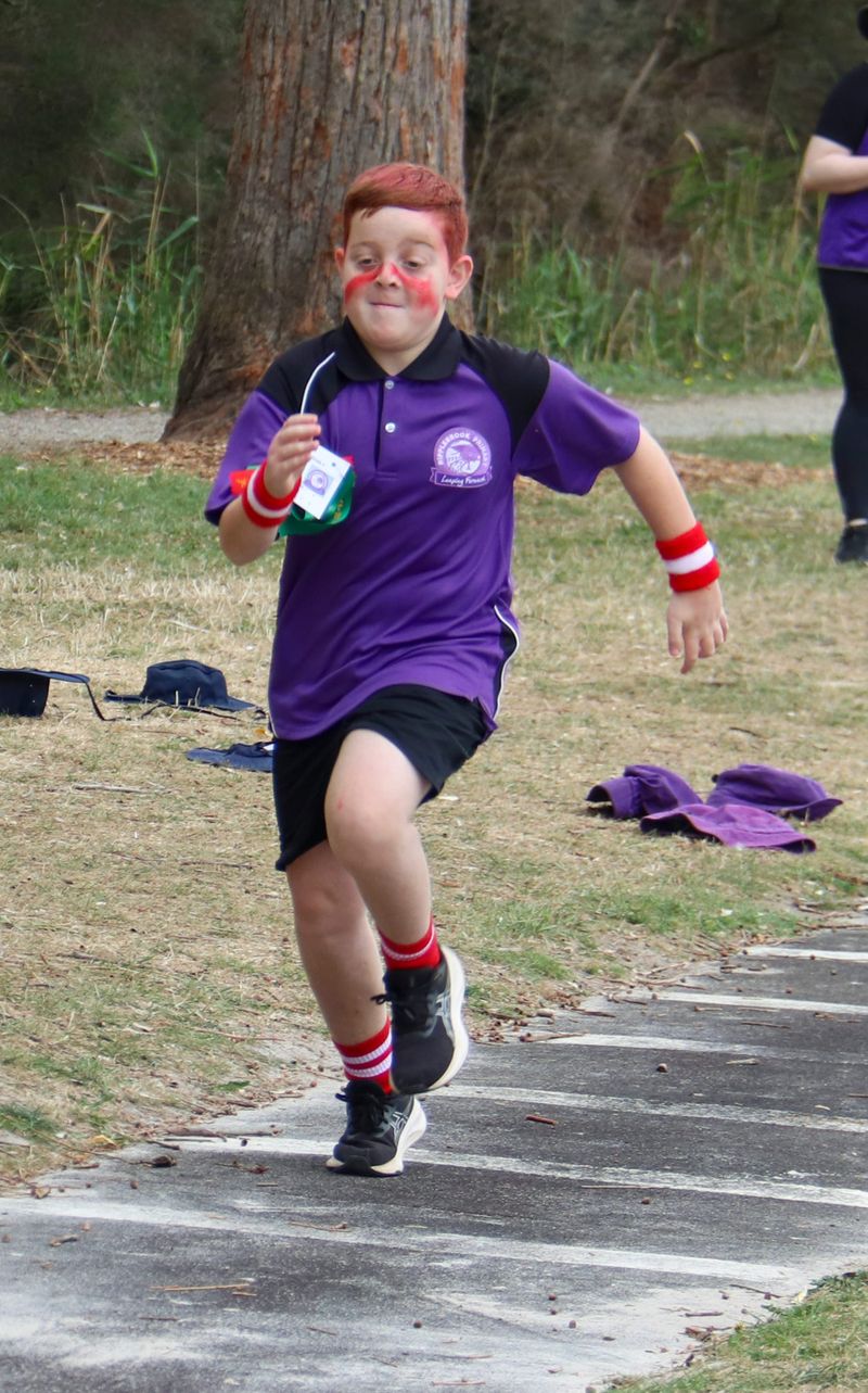 Small schools show their stuff post image