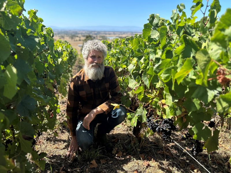 Taking wine to the world post image