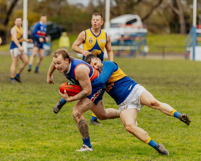Eagles fly past Bulldogs post image