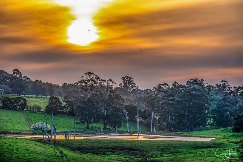 Climate change discussion in Yarragon post image