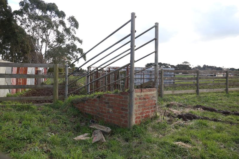Managing weeds from introduced fodder post image