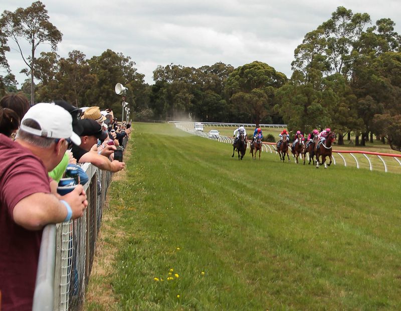 Earlier races at Drouin Picnic Races for Boxing Day heat post image