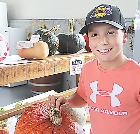 Showcase of quality in exhibition section post image