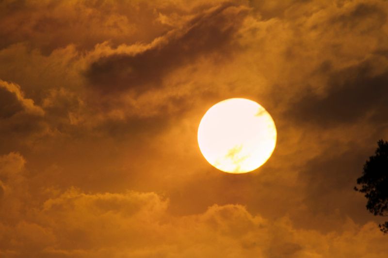 Hotter days on the horizon post image