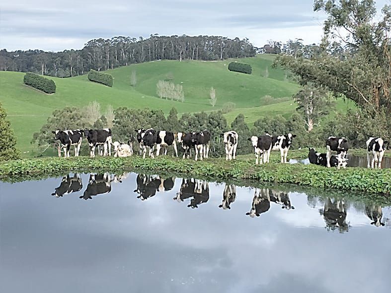 Competition captures essence of "Australian Life" post image