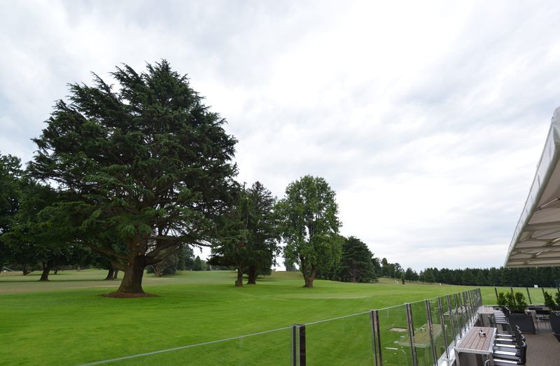 Plea for funds to save golf event post image