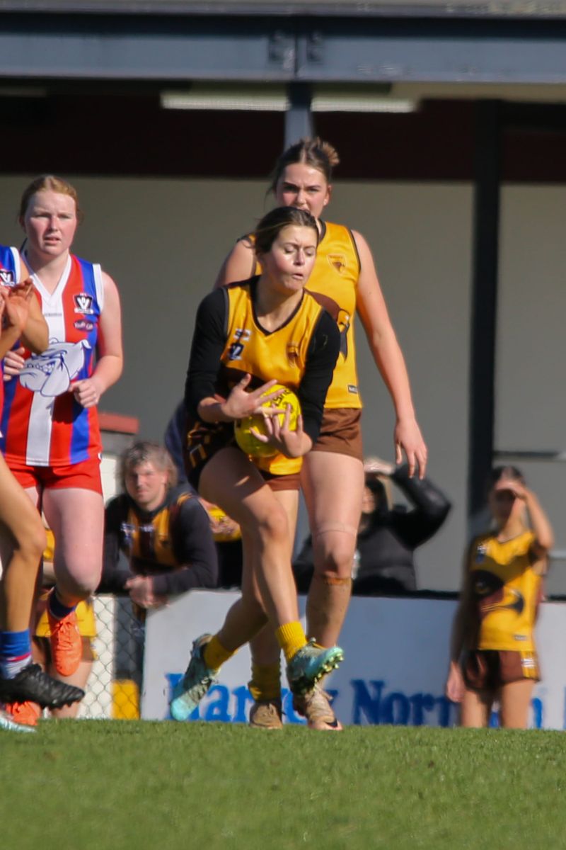 FFG U16 Warranor Vs Bulldogs - August 17, 2025 post image