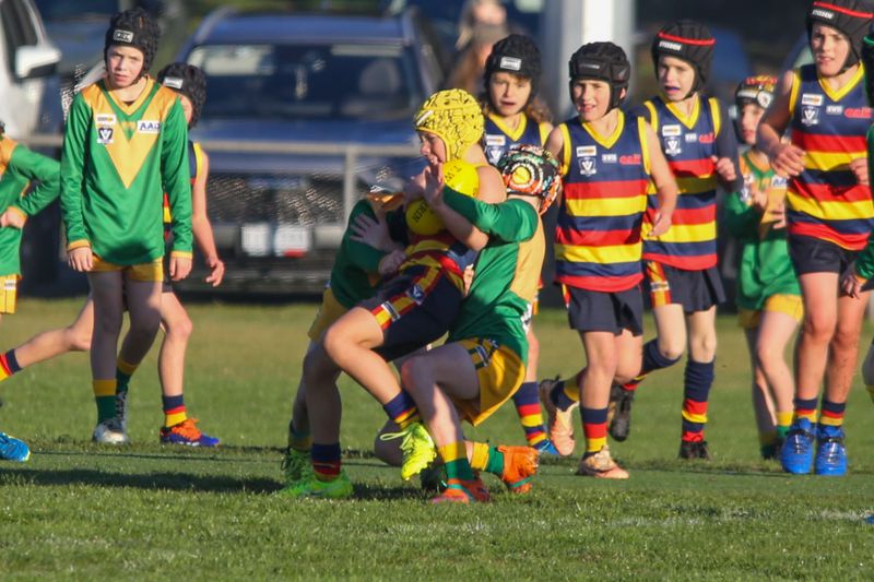 WDJFL Under 10s Garfield vs Longwarry, June 14, 2025 post image