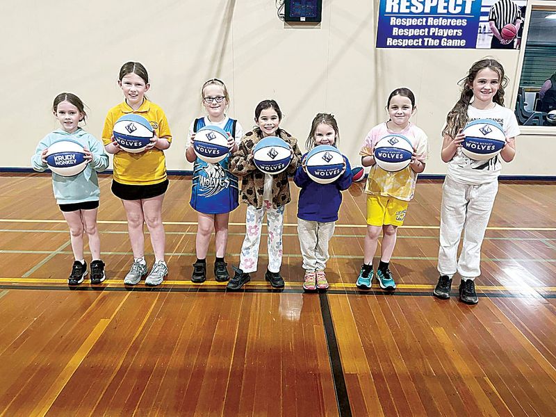 Pickleball on its Way to Trafalgar post image