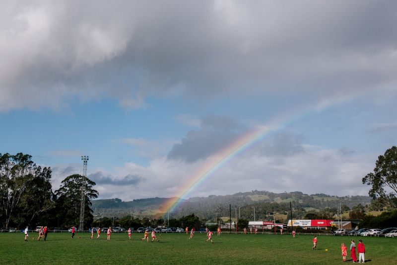 Traf to host decider post image