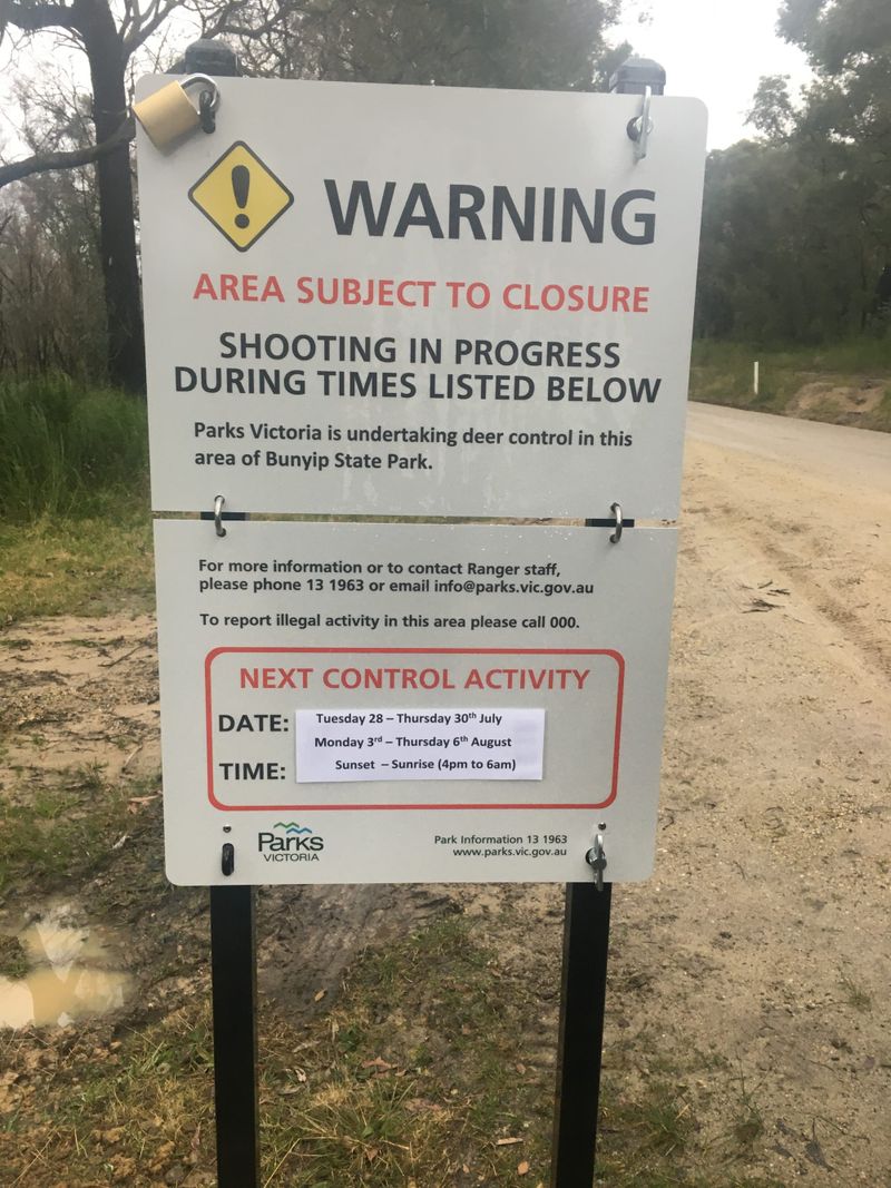 Removing deer from state parks post image