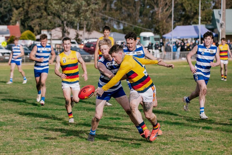 EDFNL Seniors football - Neerim vs Longwarry, August 30, 2025 post image