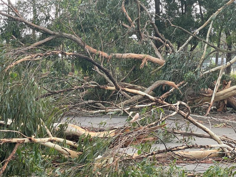 Wild wind in Drouin post image