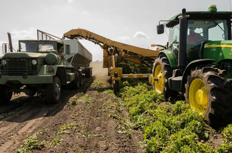 Smart farms and Ethereum: Using blockchain to boost crop yields post image
