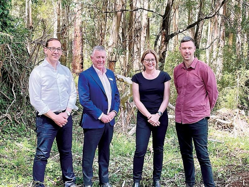$4 million healthyforest plan for Noojee post image