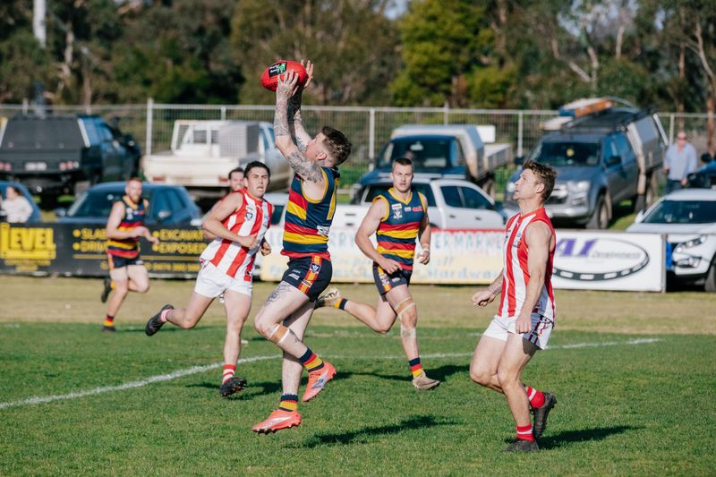 EDFNL Football Seniors Longwarry vs Trafalgar - August 23, 2025 post image