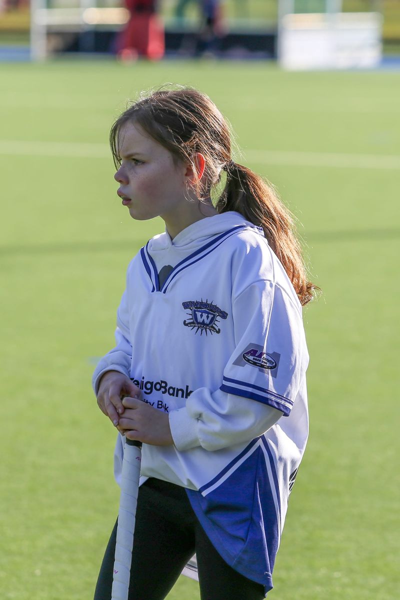 Hockey Under 12s Drouids Vs Warriors - June 14, 2025 post image