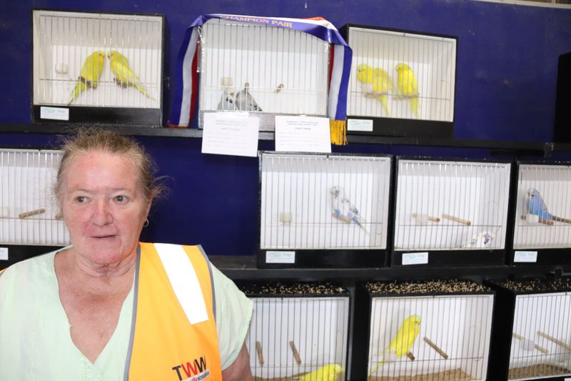 Bragging rights for proud per owners post image