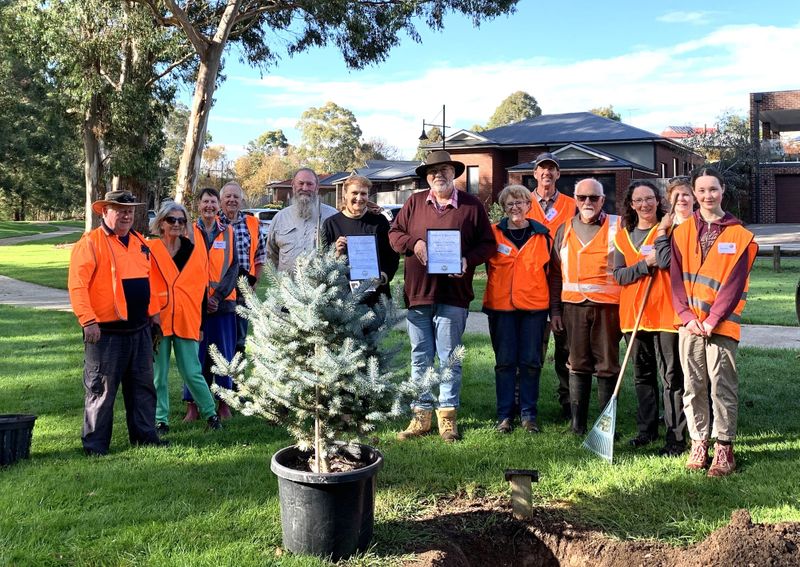 A decade of tree advocacy post image