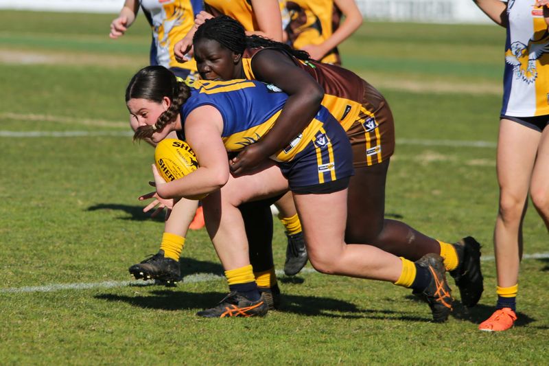 FFG Under 16s Warranor vs Sea Eagles - August 10, 2025 post image