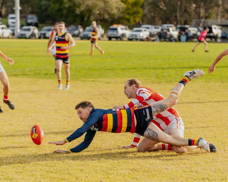 EDFNL Seniors Longwarry vs Trafalgar June 7, 2025 post image