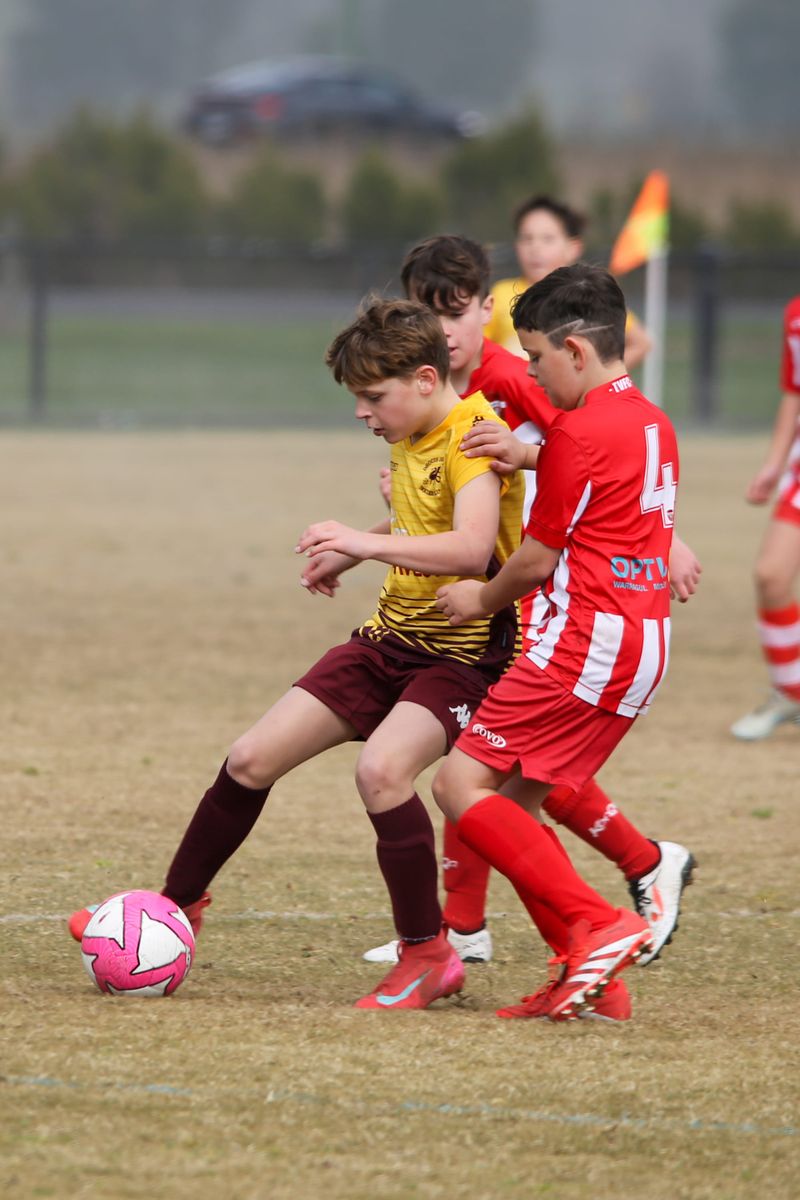 GSL Soccer U12 Trafalgar vs Drouin Dragons - August 3, 2025 post image