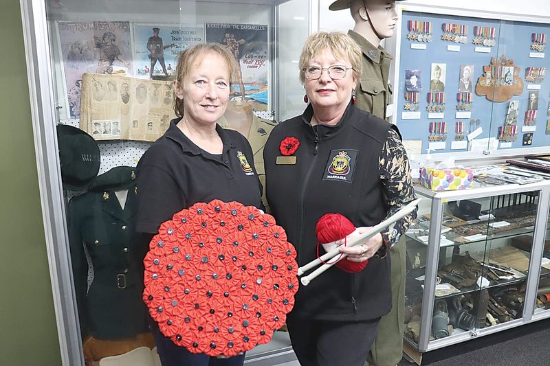500 poppies vision for field of remembrance post image