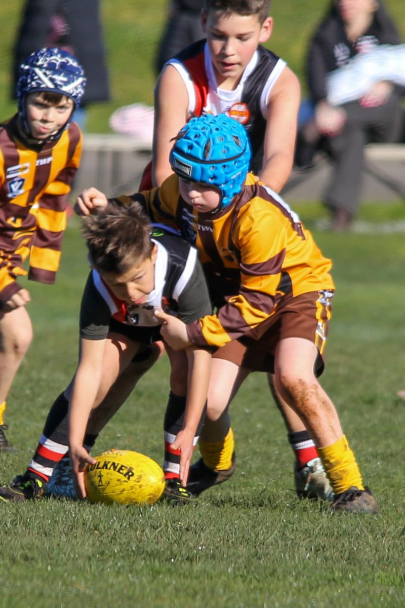 WGJFC Jnr Football U10 Warranor vs Nyora - August 3, 2025 post image