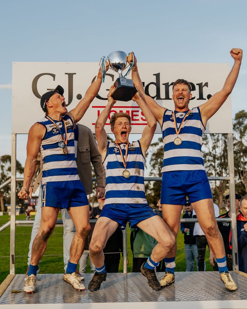 Cats cap off purr-fect season post image